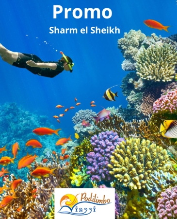 V Hotel Sharm el Sheik 5* Viaggi di Gruppo